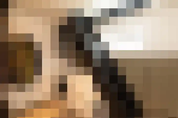 Diependaalselaan 310 Hilversum thumbnail 16