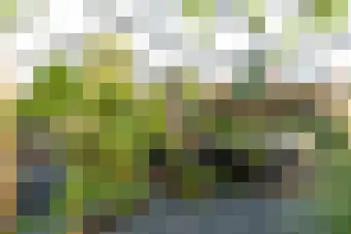 Diependaalselaan 310 Hilversum thumbnail 21