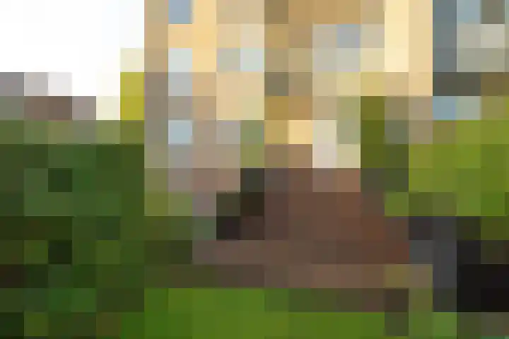 Diependaalselaan 310 Hilversum thumbnail 22