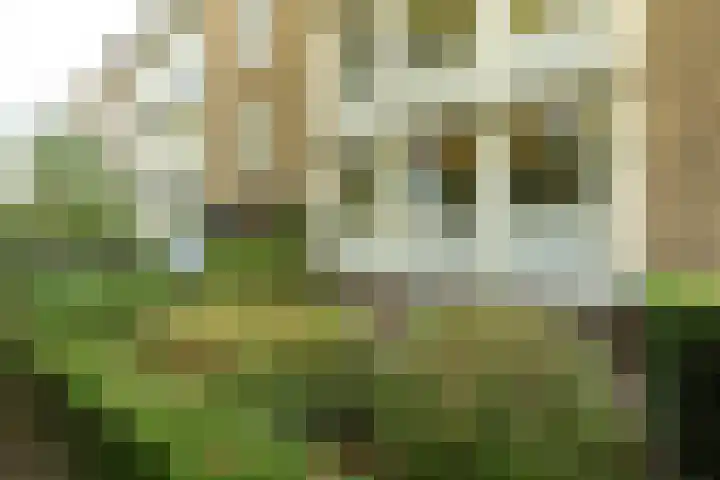 Diependaalselaan 310 Hilversum thumbnail 23