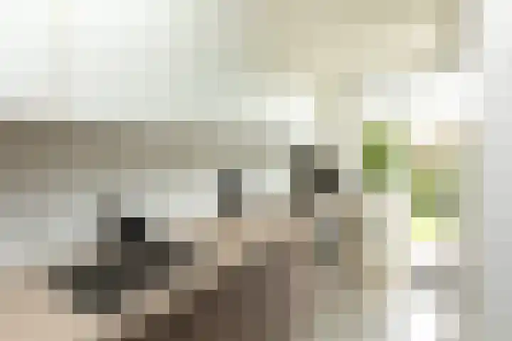 Diependaalselaan 310 Hilversum thumbnail 9