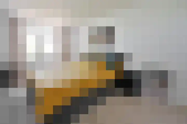 Diependaalselaan 348 Hilversum thumbnail 10