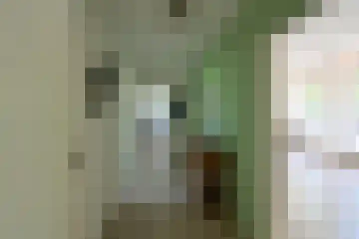 Diependaalselaan 348 Hilversum thumbnail 4