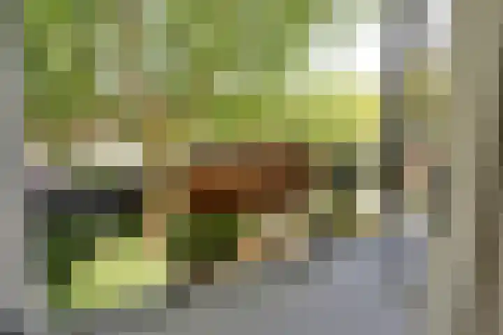 Diependaalselaan 348 Hilversum thumbnail 8