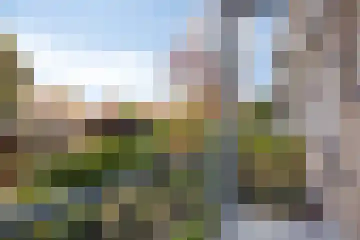Diependaalselaan 358 Hilversum thumbnail 17