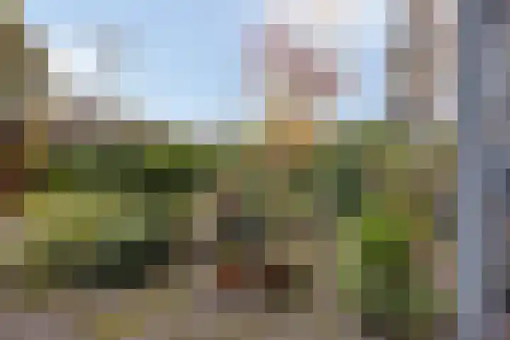 Diependaalselaan 358 Hilversum thumbnail 20