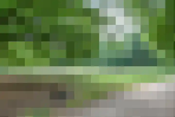 Diependaalselaan 358 Hilversum thumbnail 33