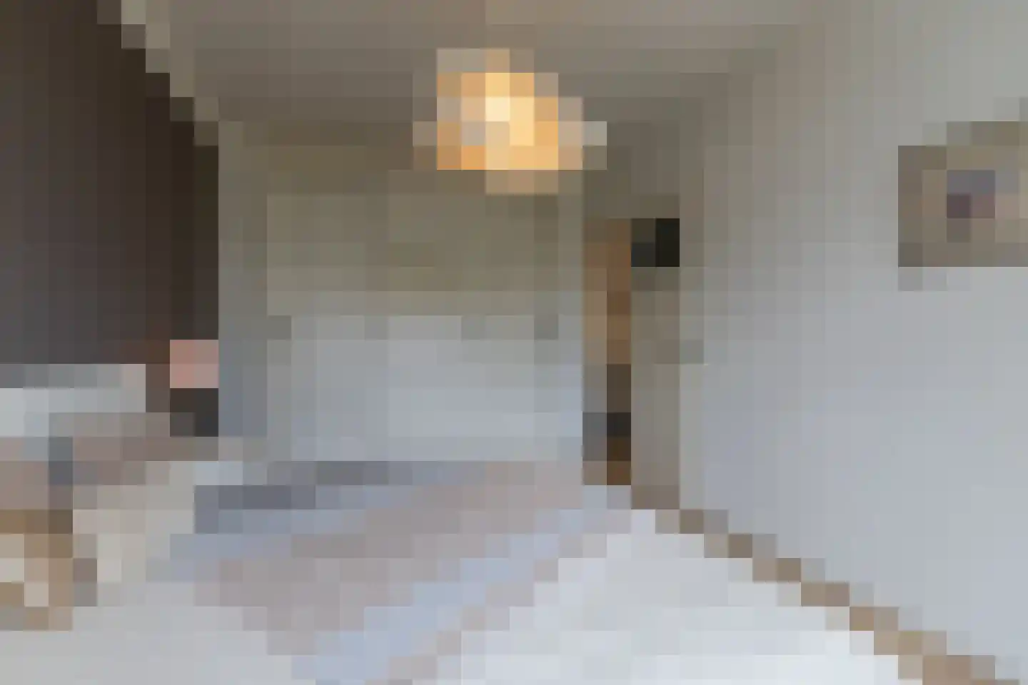 Diependaalselaan 432 Hilversum thumbnail 19