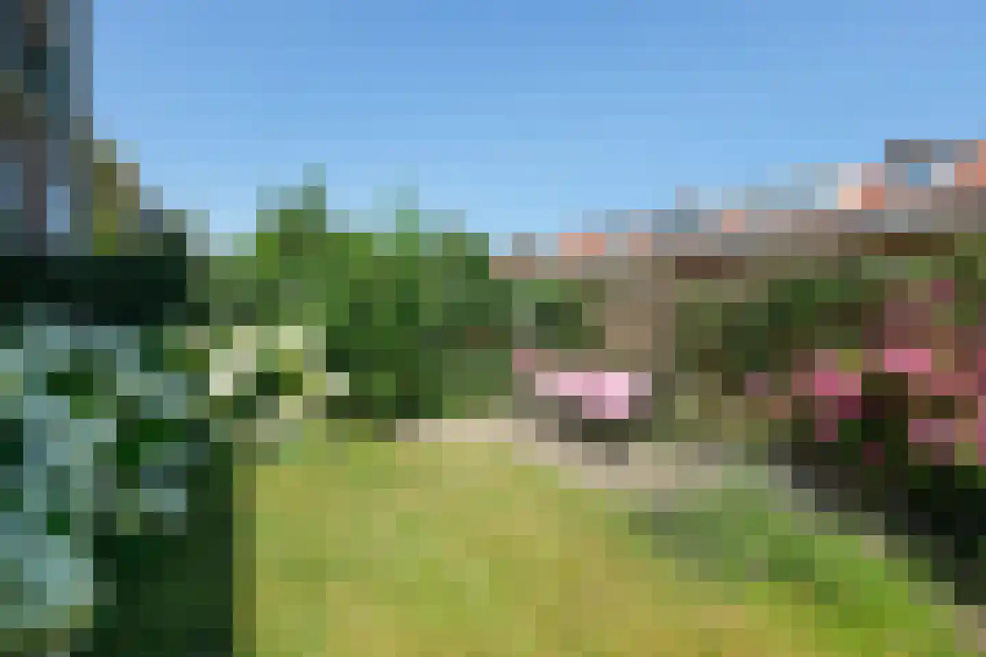 Diependaalselaan 442 Hilversum thumbnail 24