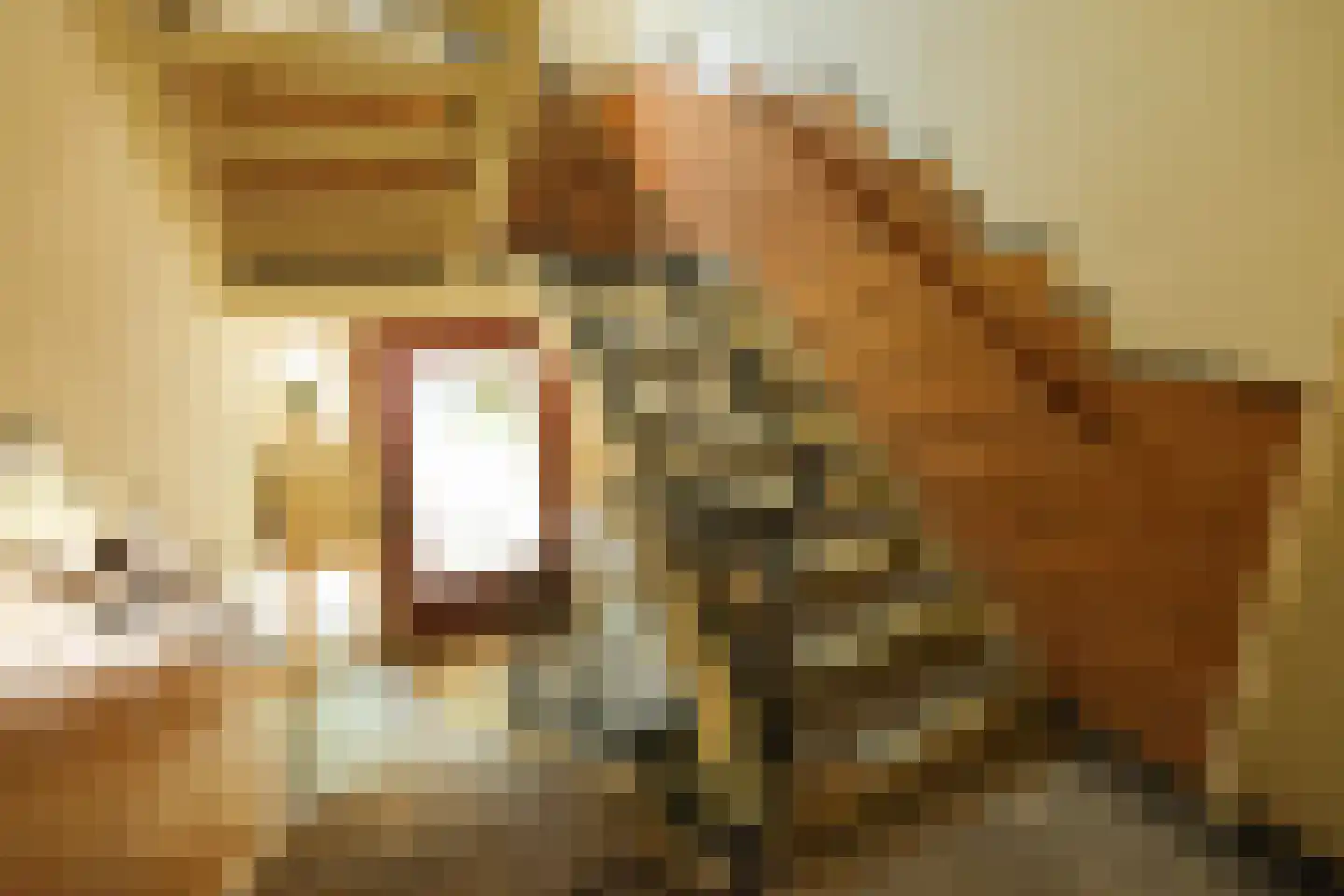 Diependaalselaan 442 Hilversum thumbnail 25