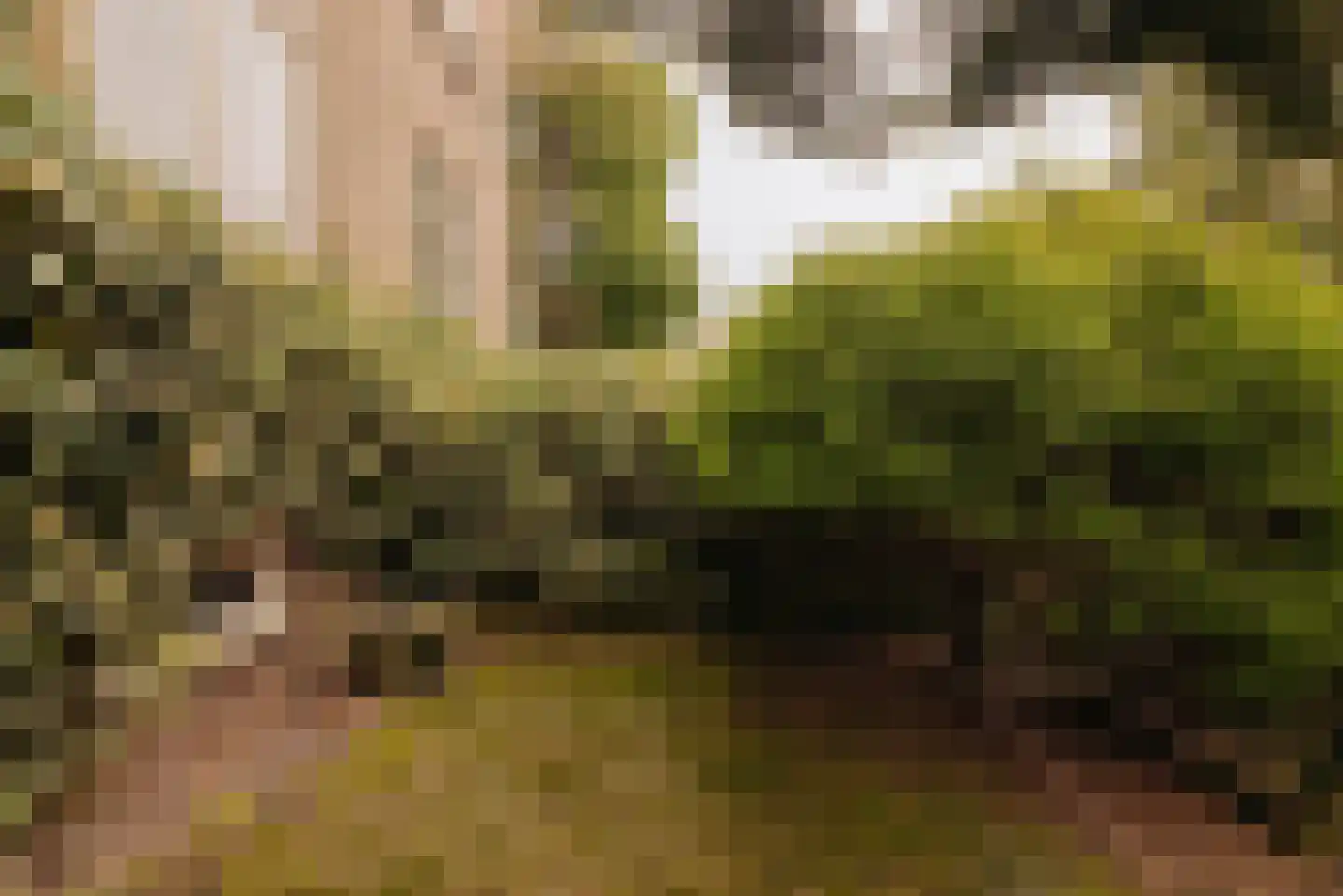 Diependaalselaan 472 Hilversum thumbnail 10