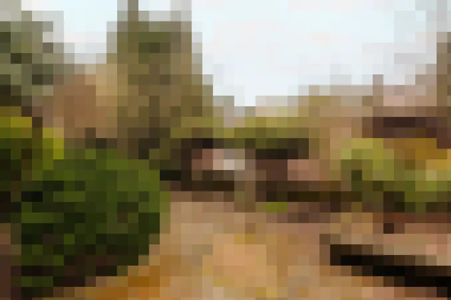 Diependaalselaan 472 Hilversum thumbnail 11