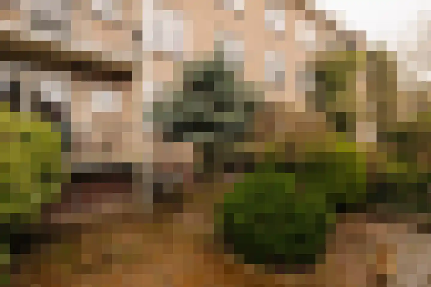Diependaalselaan 472 Hilversum thumbnail 12
