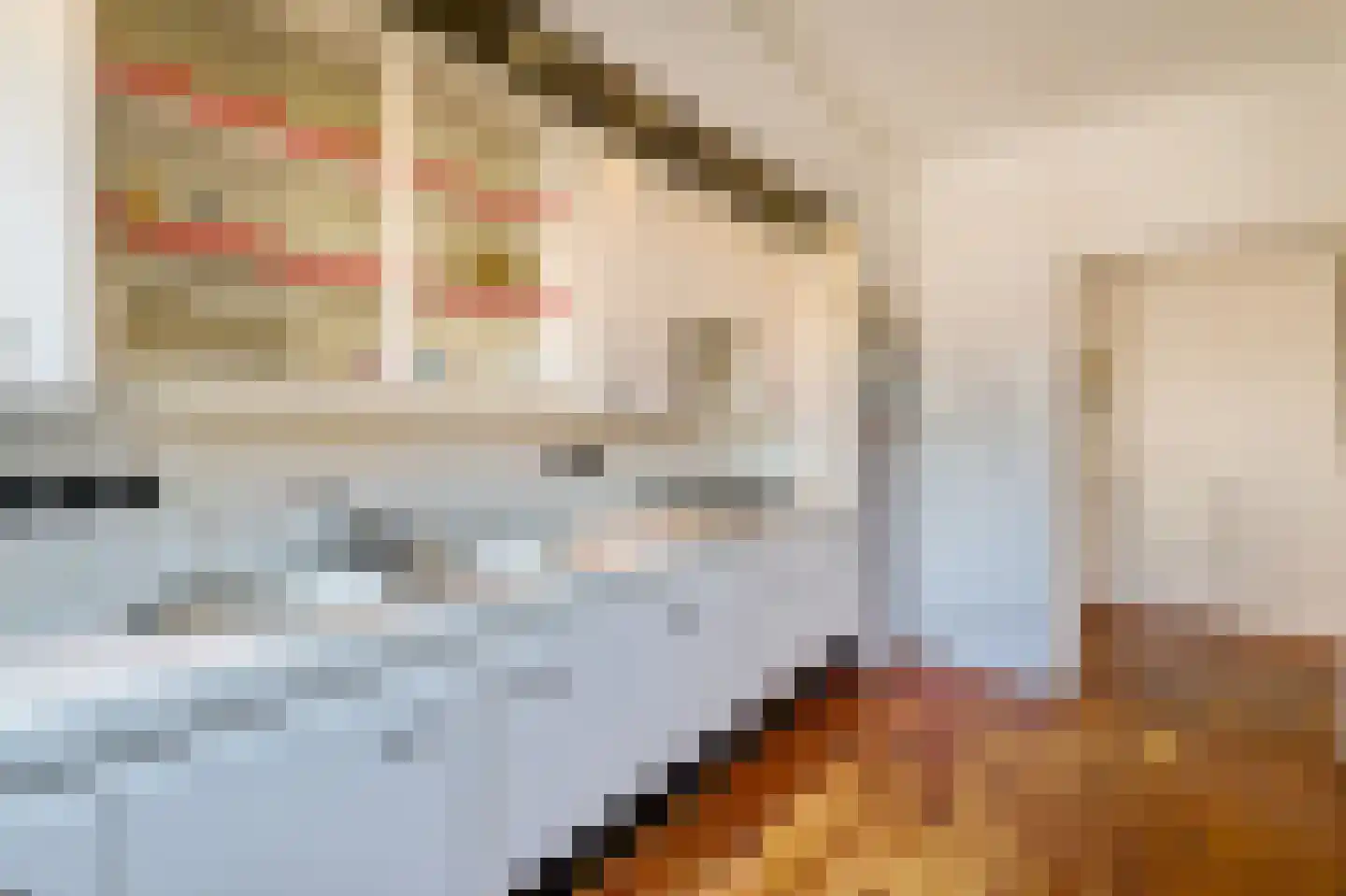Diependaalselaan 488 Hilversum thumbnail 10