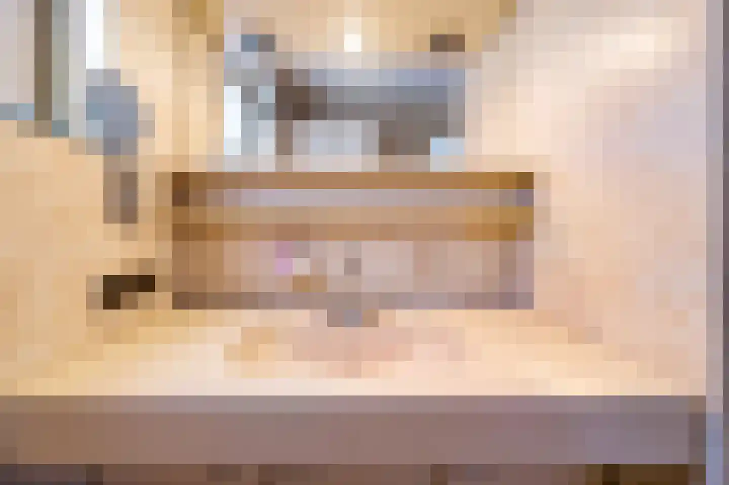 Diependaalselaan 488 Hilversum thumbnail 16