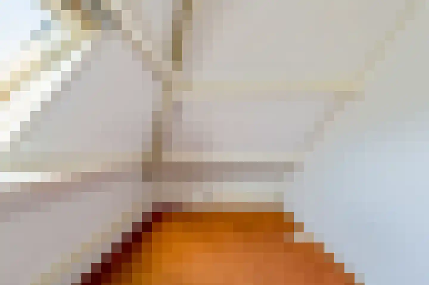 Diependaalselaan 488 Hilversum thumbnail 23