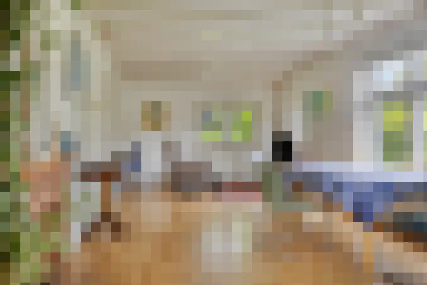 Diependaalseweg 12 Markelo thumbnail 12
