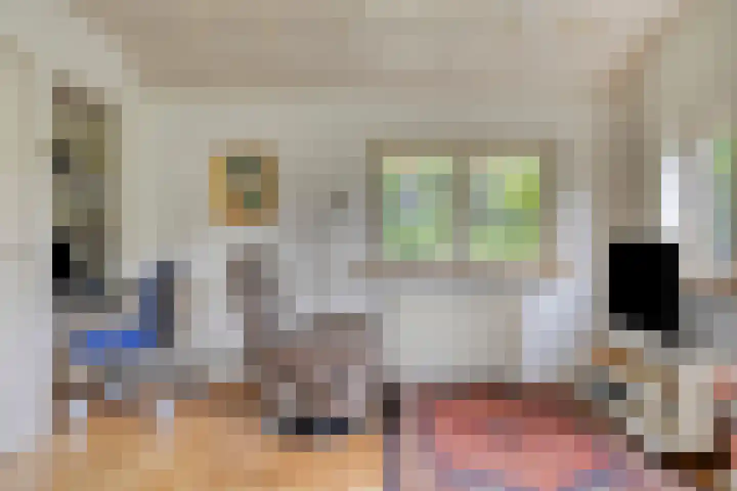 Diependaalseweg 12 Markelo thumbnail 13