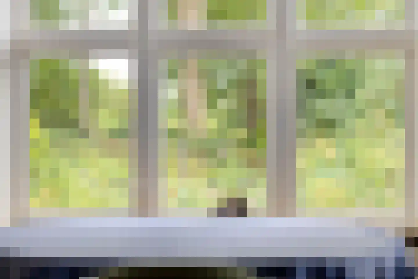 Diependaalseweg 12 Markelo thumbnail 15