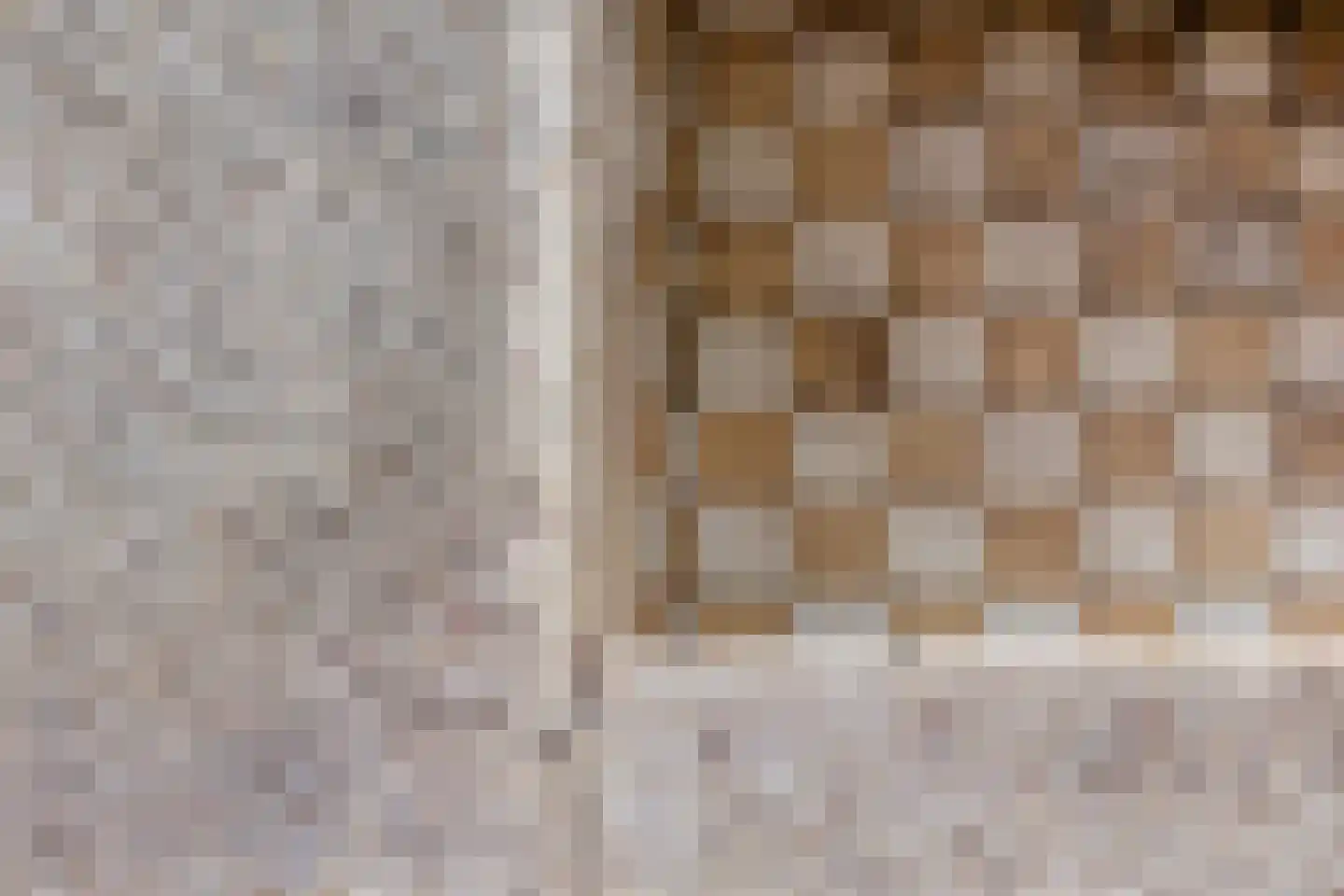Diependaalseweg 12 Markelo thumbnail 18