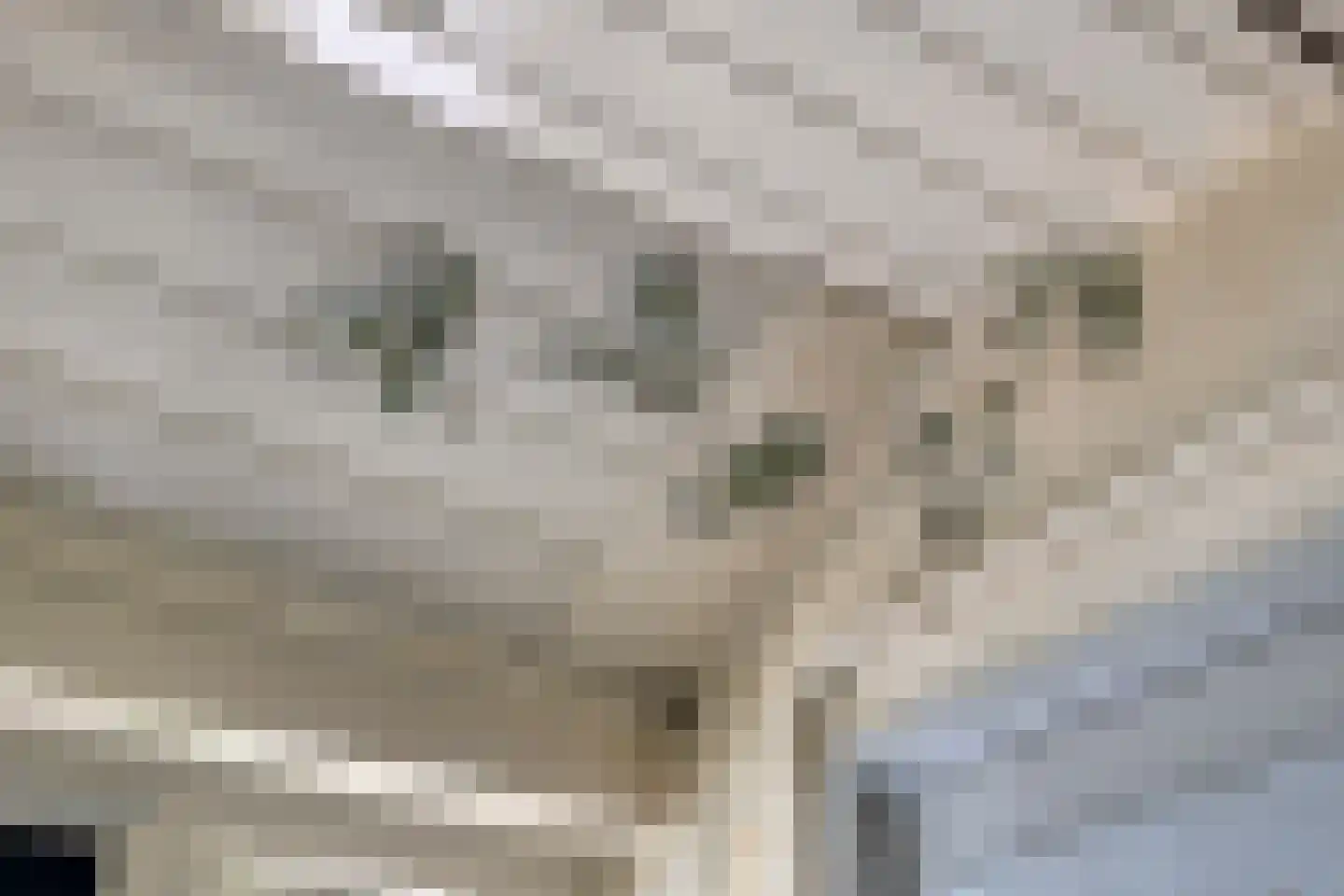 Diependaalseweg 12 Markelo thumbnail 20