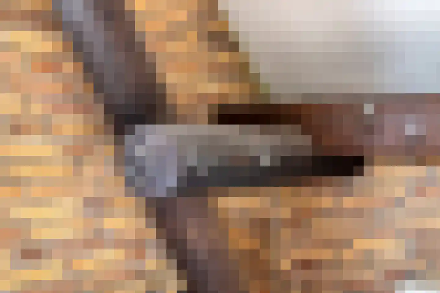 Diependaalseweg 12 Markelo thumbnail 23