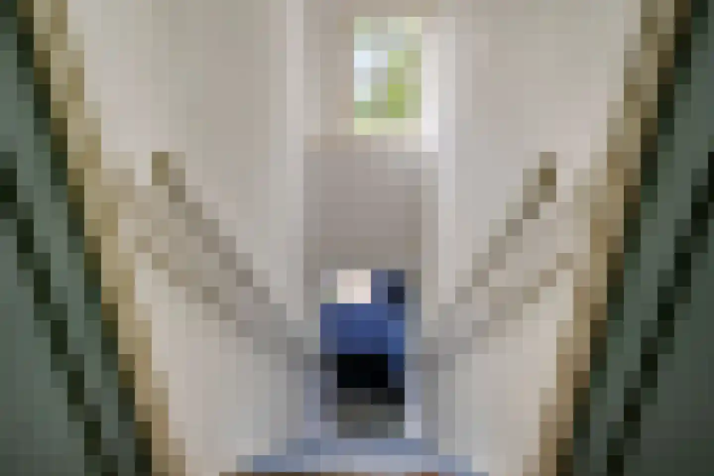 Diependaalseweg 12 Markelo thumbnail 34