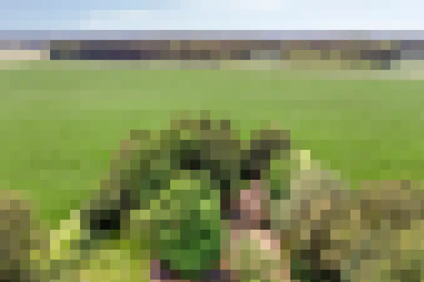 Diependaalseweg 12 Markelo thumbnail 4