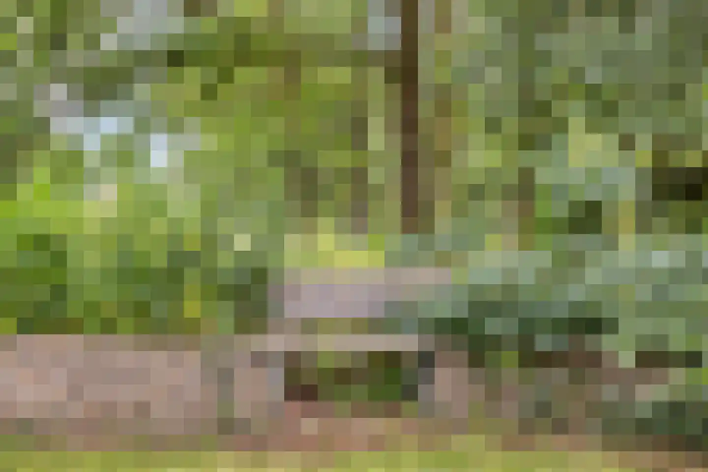 Diependaalseweg 12 Markelo thumbnail 42