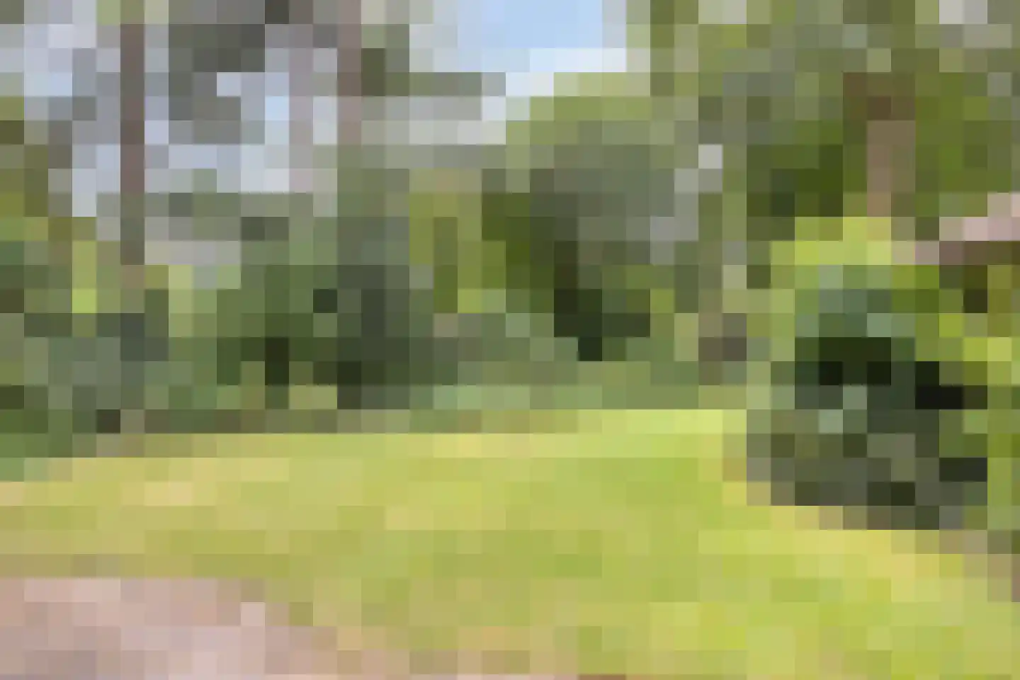 Diependaalseweg 12 Markelo thumbnail 43