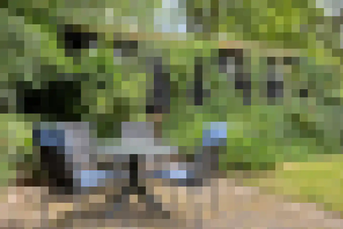 Diependaalseweg 12 Markelo thumbnail 44