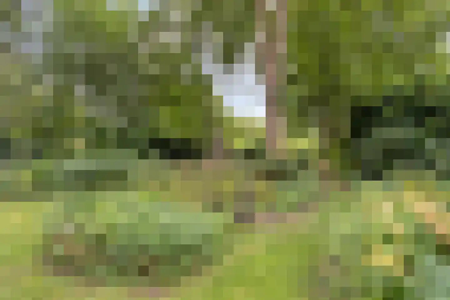 Diependaalseweg 12 Markelo thumbnail 45