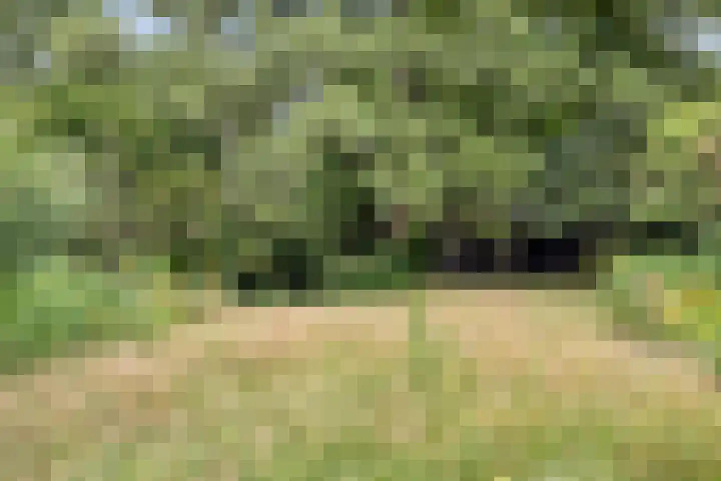 Diependaalseweg 12 Markelo thumbnail 46