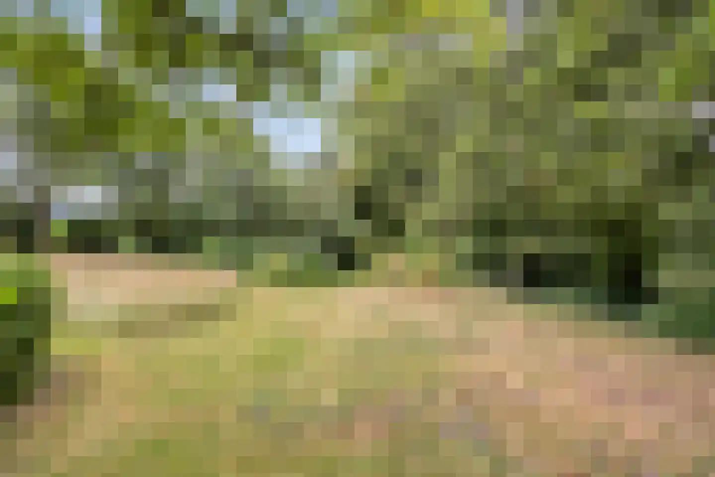 Diependaalseweg 12 Markelo thumbnail 47