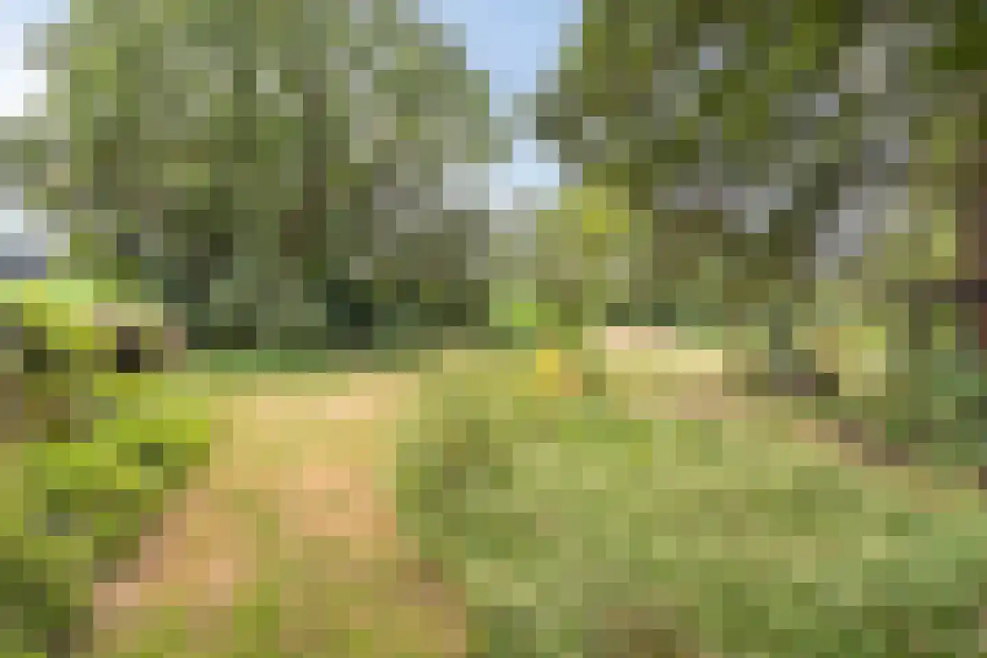 Diependaalseweg 12 Markelo thumbnail 48