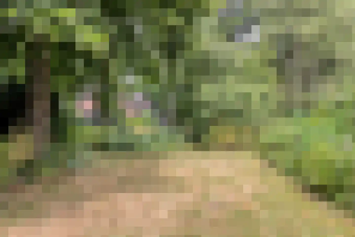 Diependaalseweg 12 Markelo thumbnail 49
