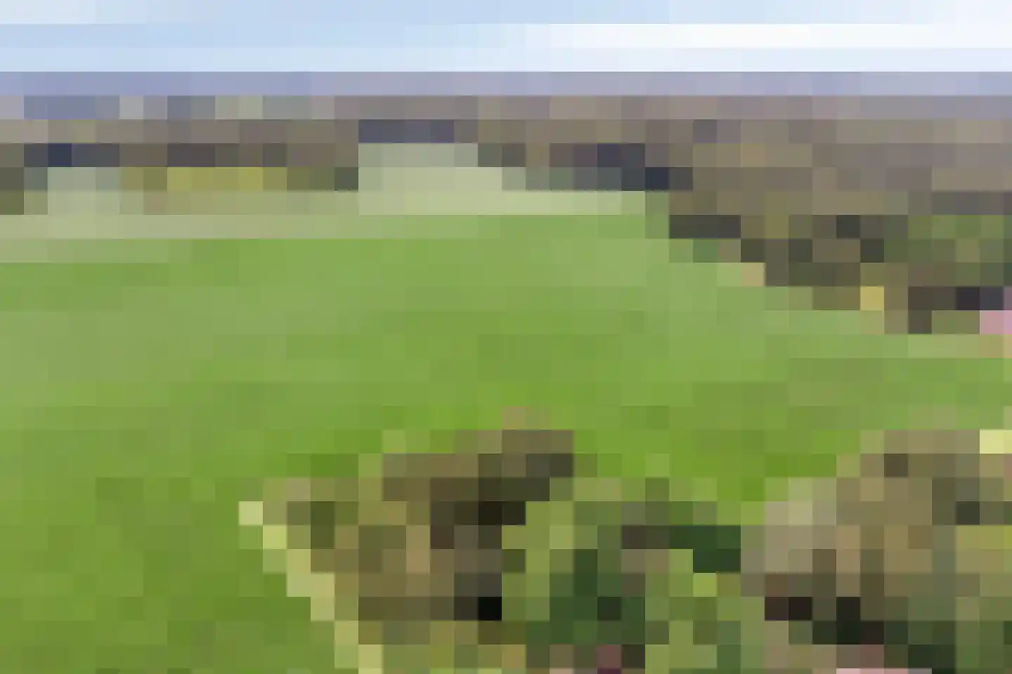 Diependaalseweg 12 Markelo thumbnail 5