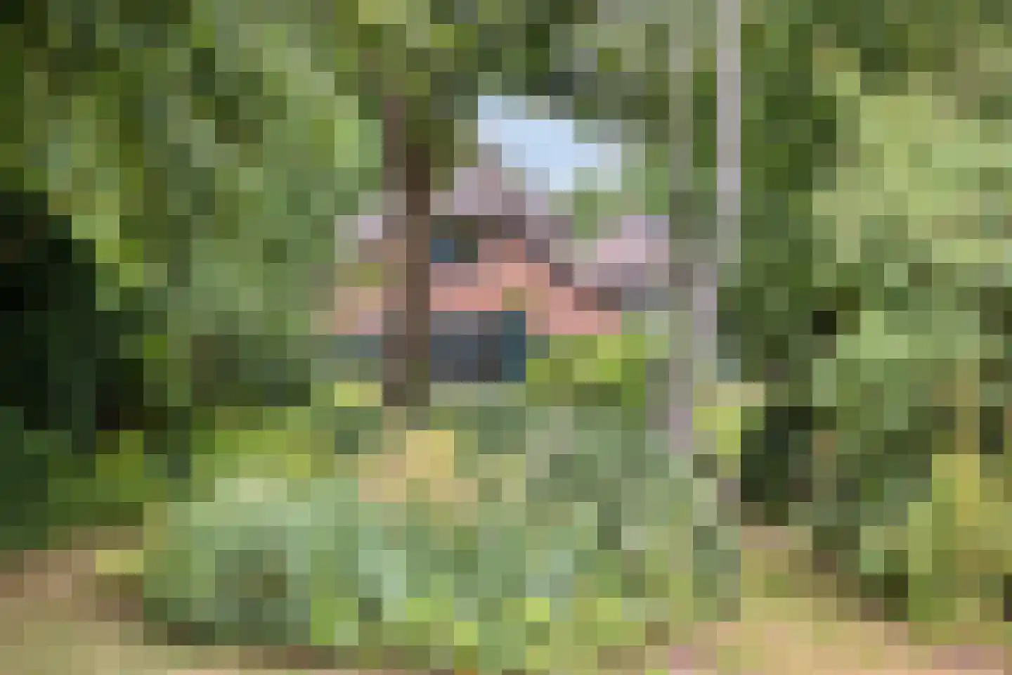 Diependaalseweg 12 Markelo thumbnail 50