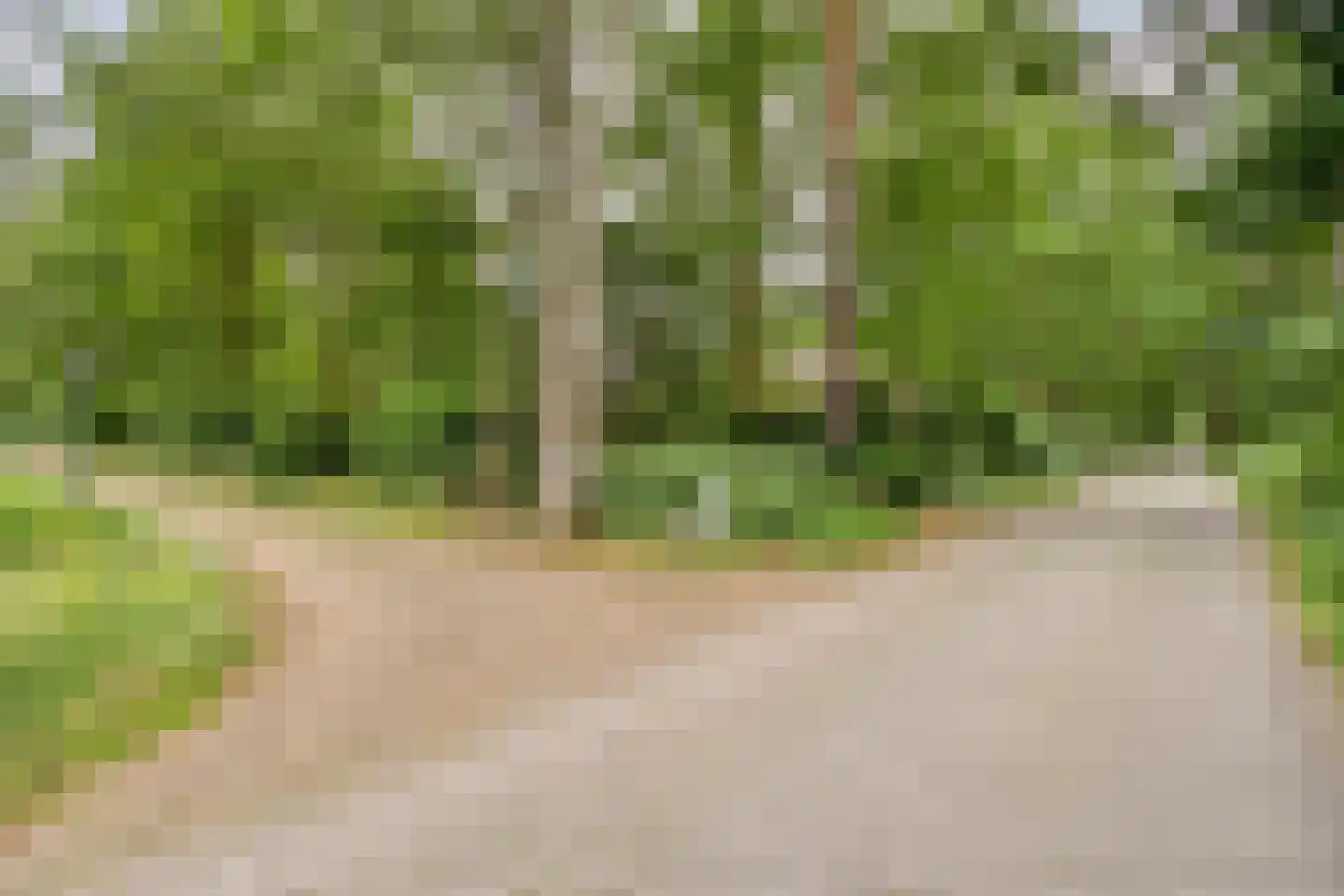 Diependaalseweg 12 Markelo thumbnail 51