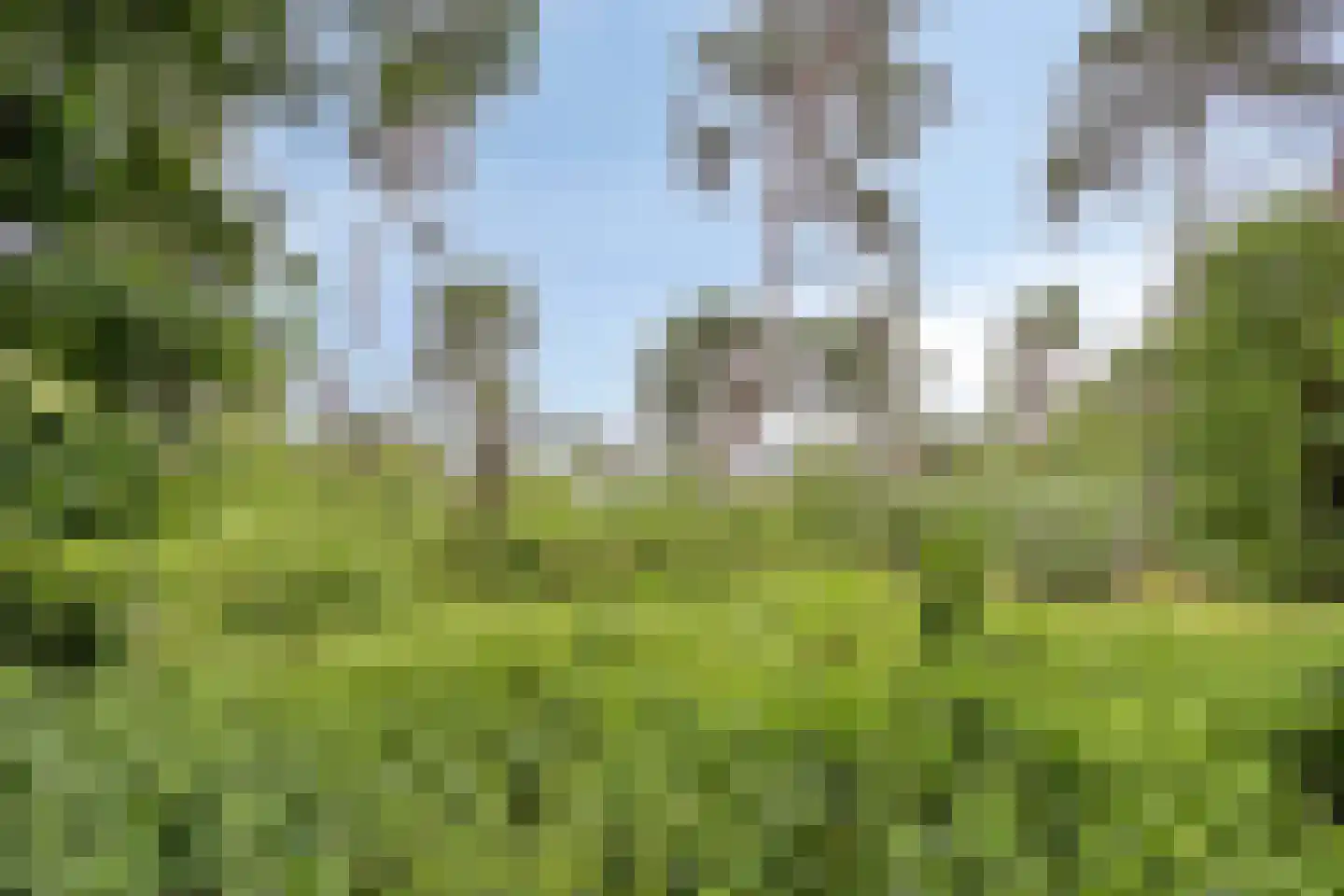 Diependaalseweg 12 Markelo thumbnail 52