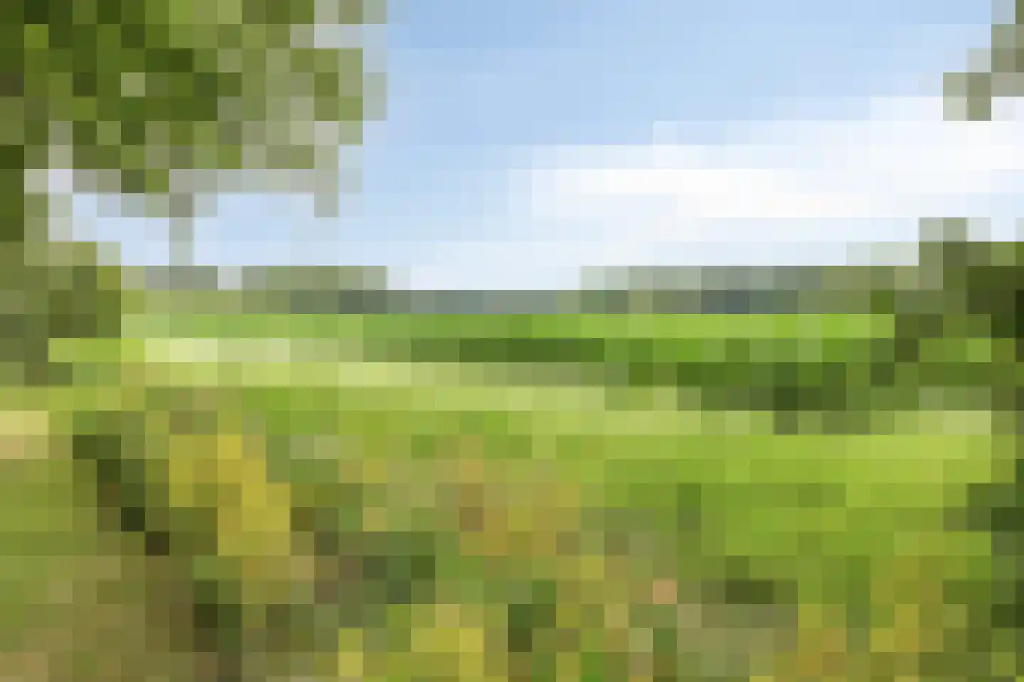 Diependaalseweg 12 Markelo thumbnail 53