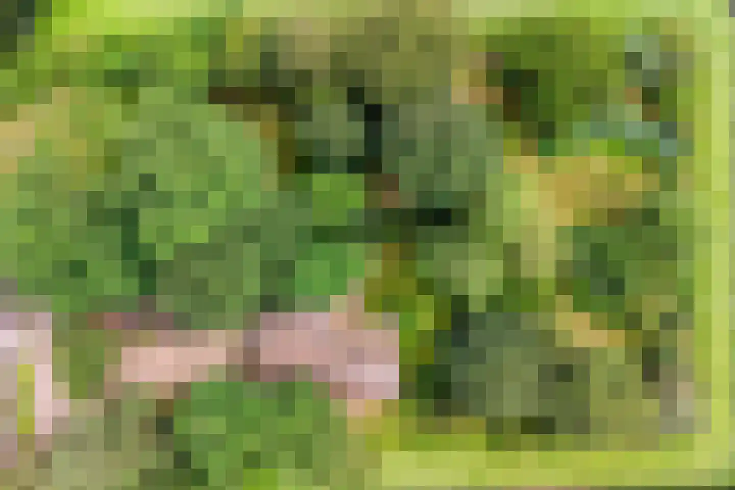 Diependaalseweg 12 Markelo thumbnail 54