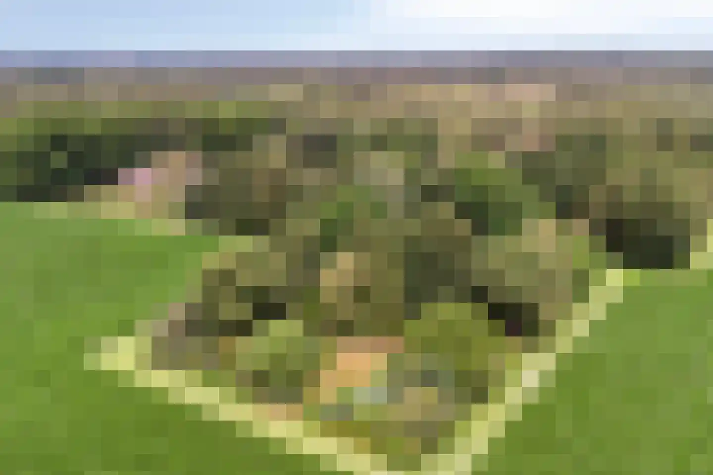 Diependaalseweg 12 Markelo thumbnail 56