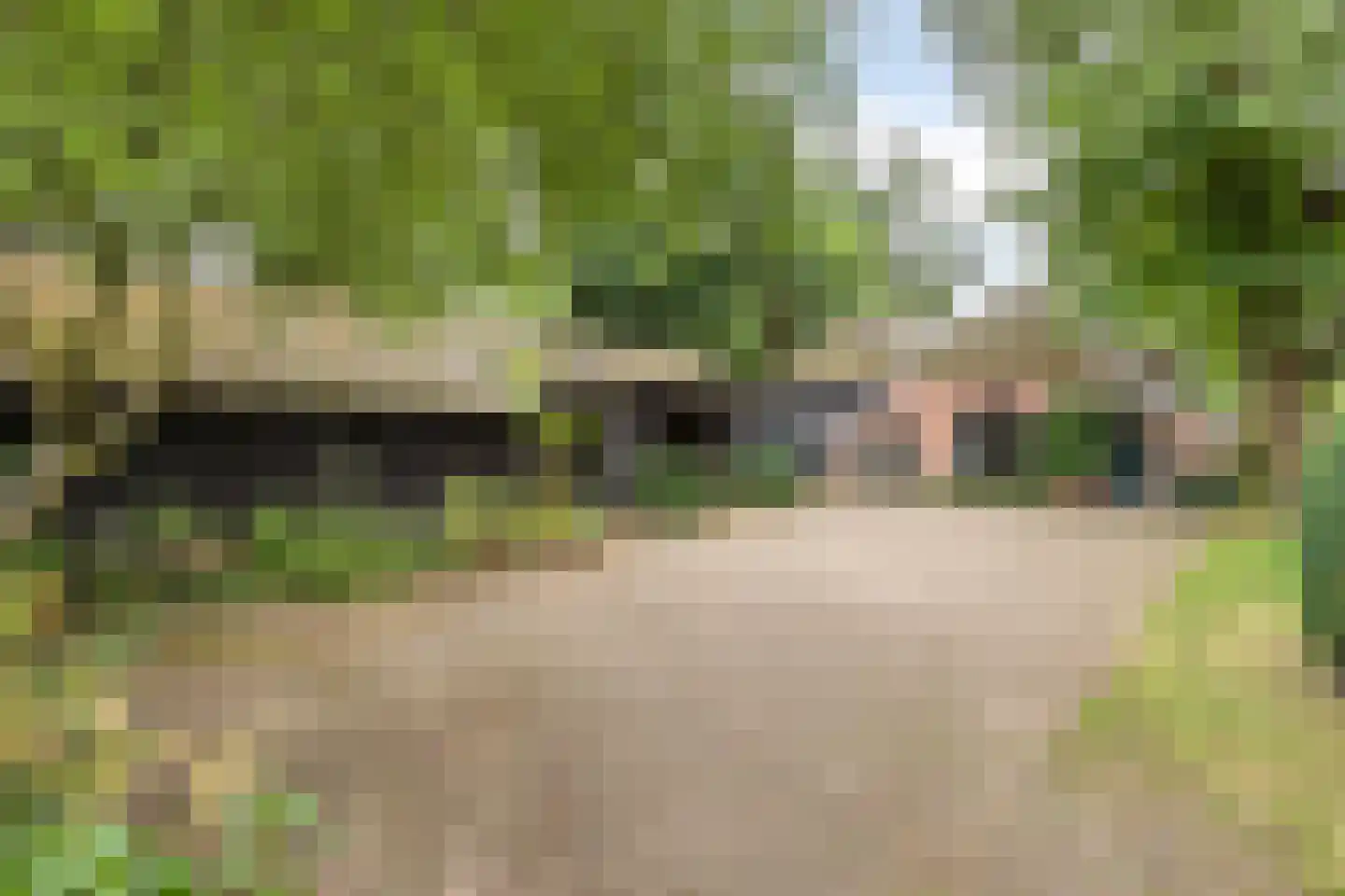 Diependaalseweg 12 Markelo thumbnail 6