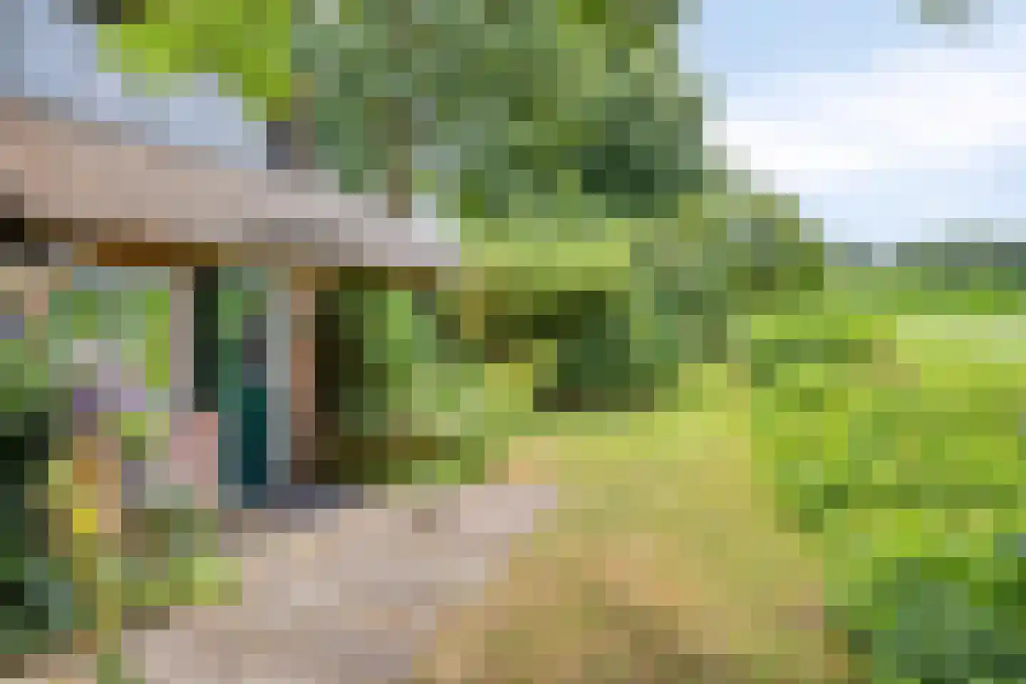 Diependaalseweg 12 Markelo thumbnail 8