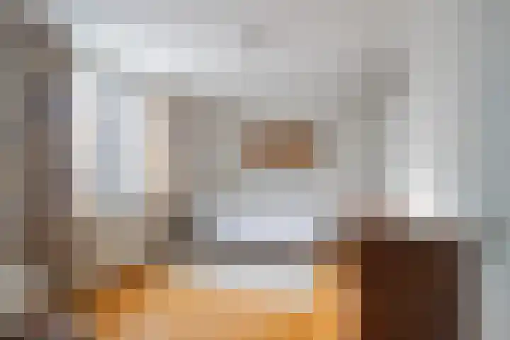 Diependaalstraat 70 Stein thumbnail 11