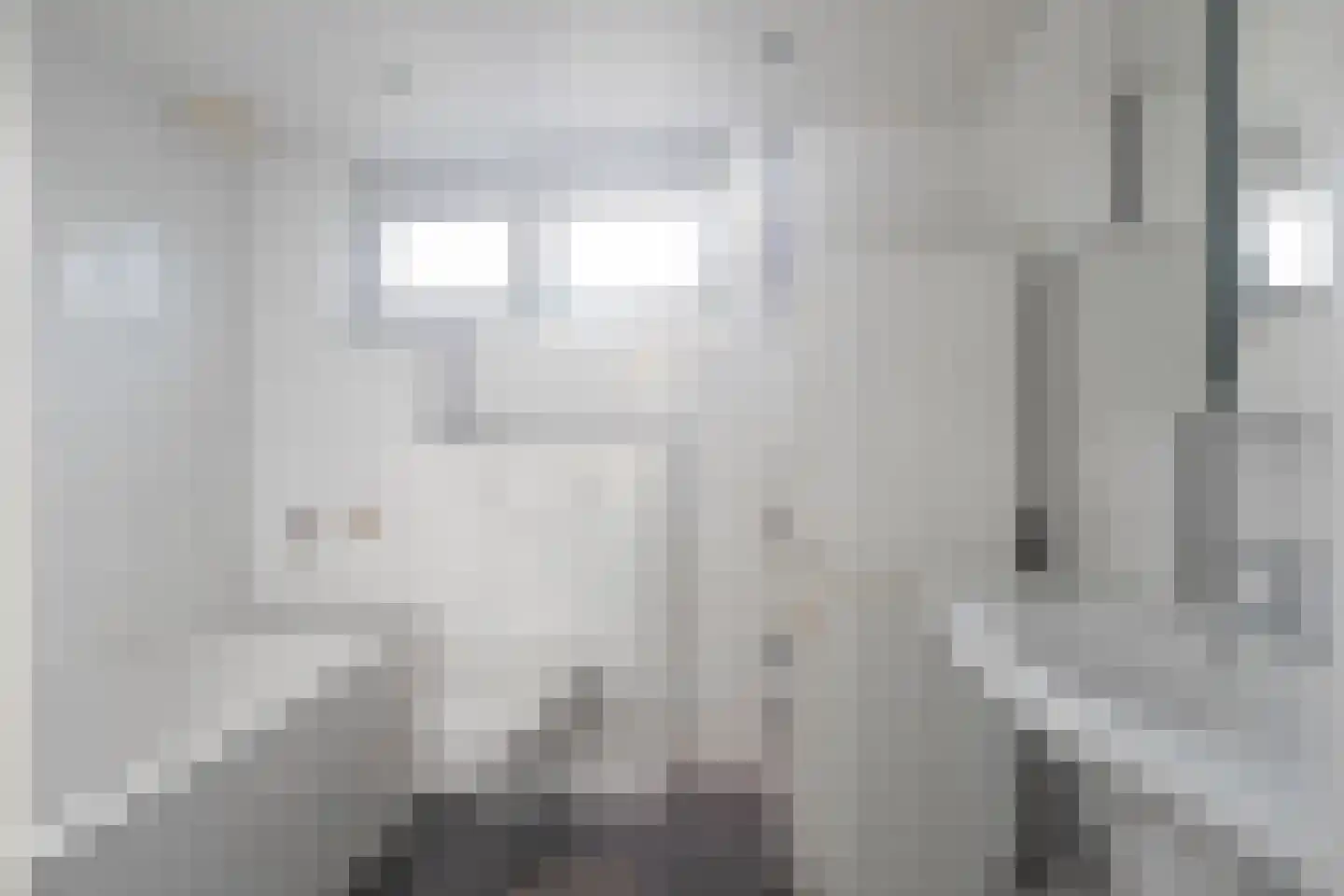 Diependaalstraat 70 Stein thumbnail 14