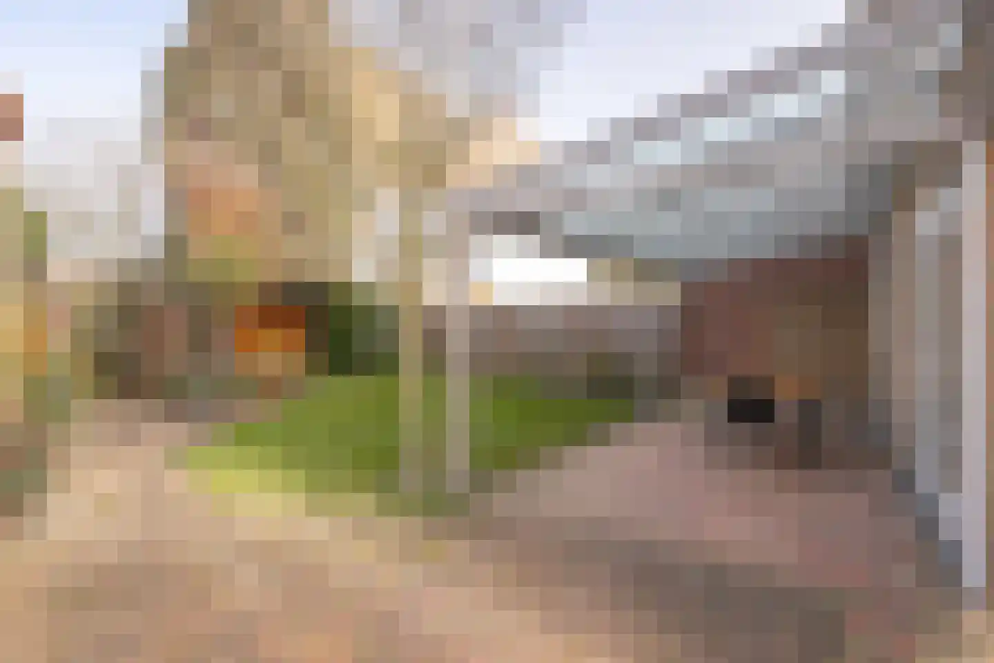 Diependaalstraat 70 Stein thumbnail 18