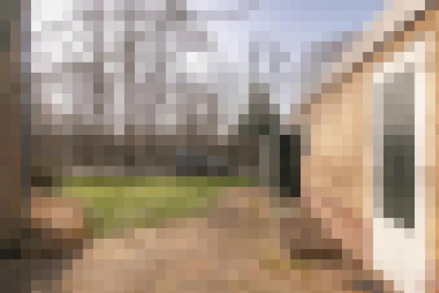 Diependaalstraat 70 Stein thumbnail 19