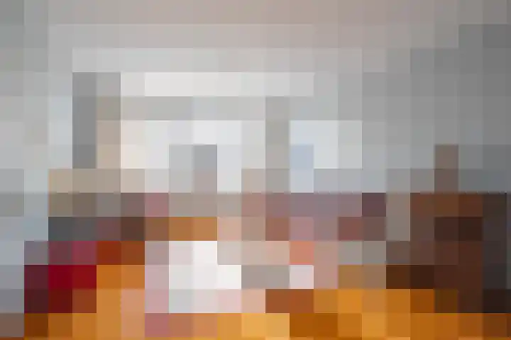 Diependaalstraat 70 Stein thumbnail 6